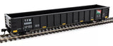 HO Walthers 910-6314 Transportacion Ferroviaria Mexicana TFM 60566 53' Railgon