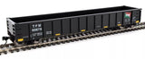 HO Walthers 910-6316 Transportacion Ferroviaria Mexicana TFM 60678 53' Railgon