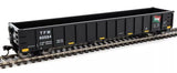 HO Walthers 910-6315 Transportacion Ferroviaria Mexicana TFM 60584 53' Railgon
