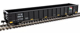 HO Walthers 910-6316 Transportacion Ferroviaria Mexicana TFM 60678 53' Railgon