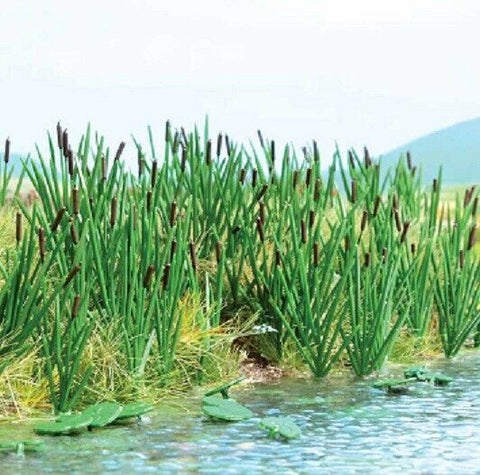 HO Scale Walthers SceneMaster 949-4179 Cattails Kit pkg (60)