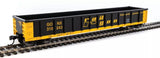 HO Scale Walthers MainLine 910-6303 Railgon GONX 310243 53' Gondola