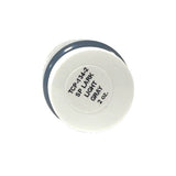 Tru-Color TCP-134-2 SP Southern Pacific Light Gray 2 oz Paint Bottle