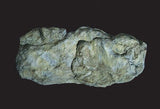 Woodland Scenics C1242 Washed Rock Rock Mold